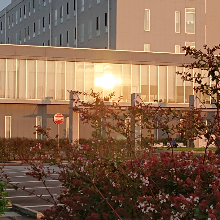 ���N���͎O���̓��I