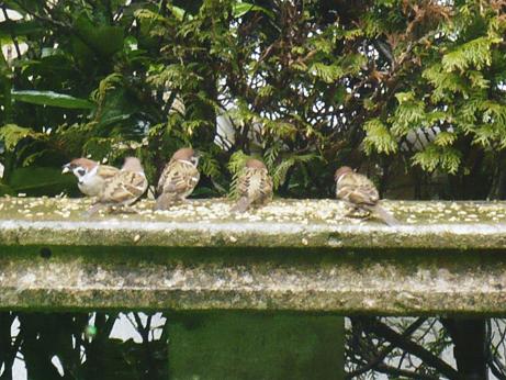 ���N���͎O���̓��I