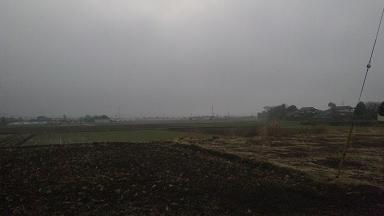 ���N���͎O���̓��I