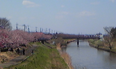 ���N���͎O���̓��I