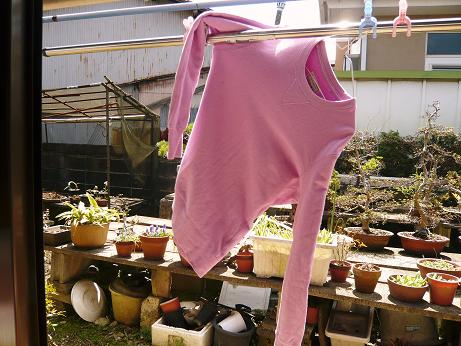 ���N���͎O���̓��I