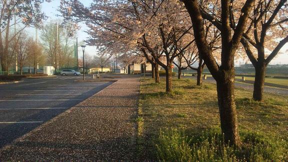 ���N���͎O���̓��I