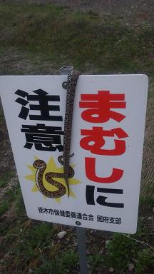 ���N���͎O���̓��I