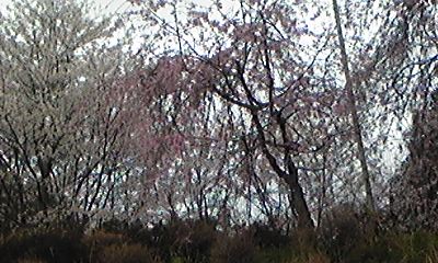 ���N���͎O���̓��I