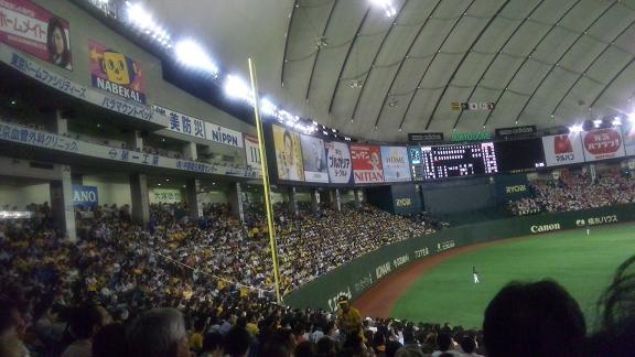 ���N���͎O���̓��I