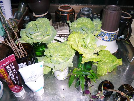 ���N���͎O���̓��I