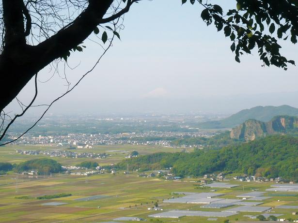 ���N���͎O���̓��I