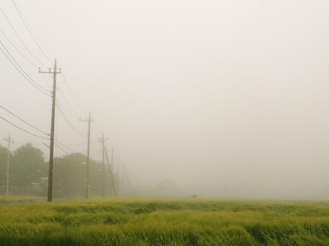 ���N���͎O���̓��I