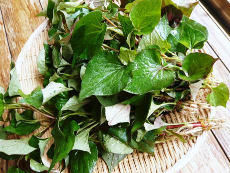 ���N���͎O���̓��I