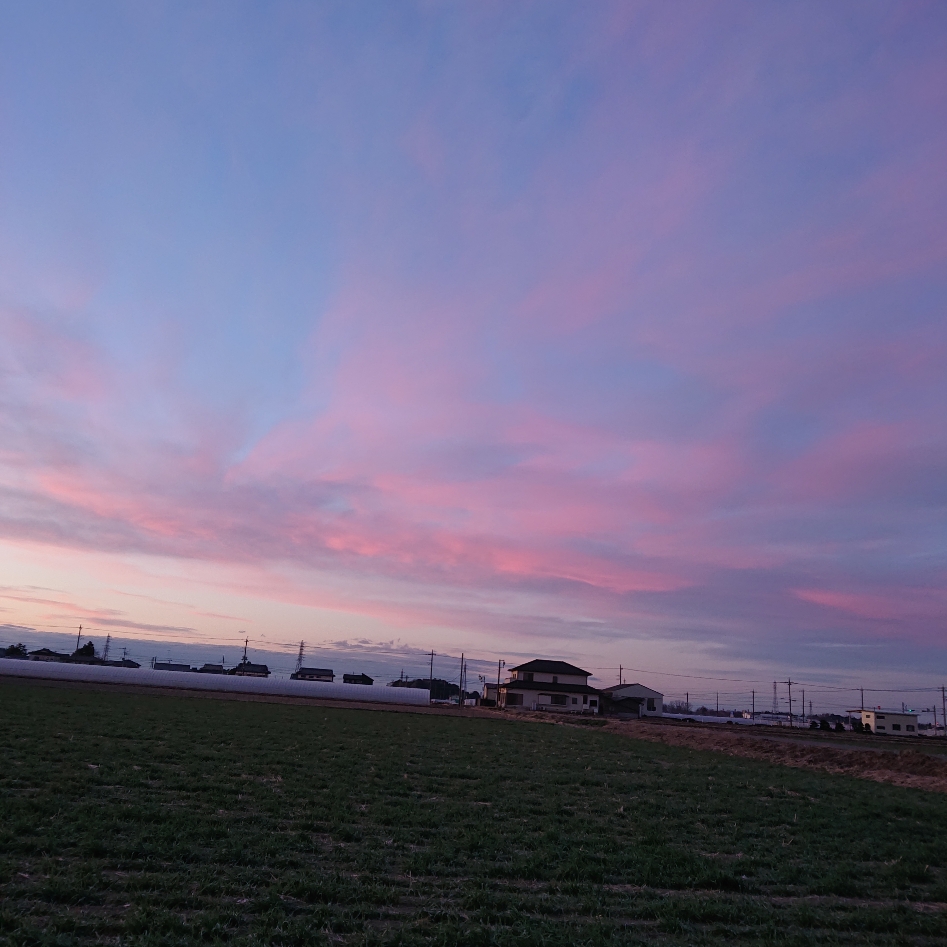 ���N���͎O���̓��I