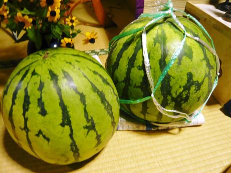 ���N���͎O���̓��I