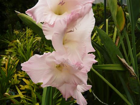 ���N���͎O���̓��I