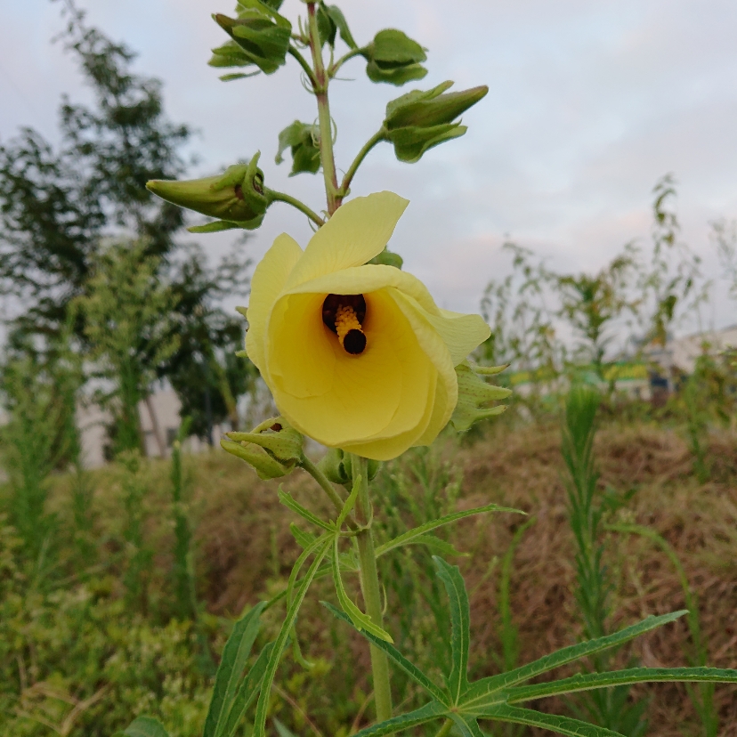 ���N���͎O���̓��I