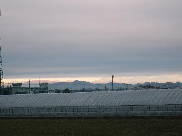 ���N���͎O���̓��I