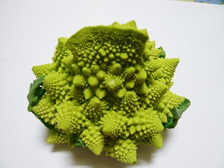 ���N���͎O���̓��I