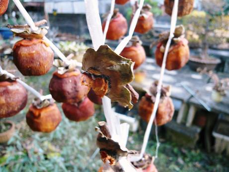 ���N���͎O���̓��I