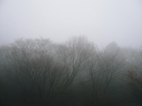 ���N���͎O���̓��I