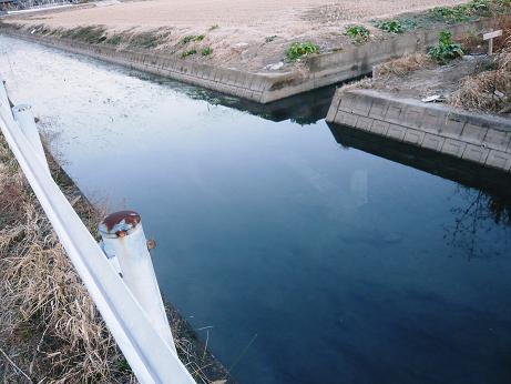 ���N���͎O���̓��I