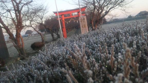 ���N���͎O���̓��I