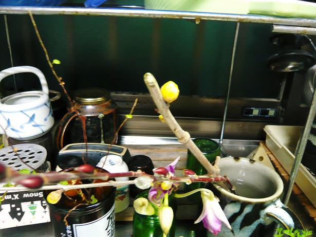 ���N���͎O���̓��I