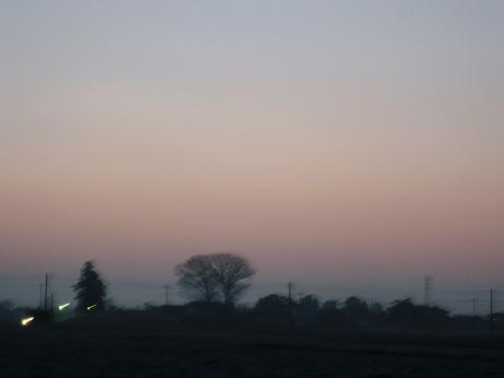 ���N���͎O���̓��I