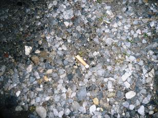 ���N���͎O���̓��I