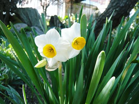 ���N���͎O���̓��I