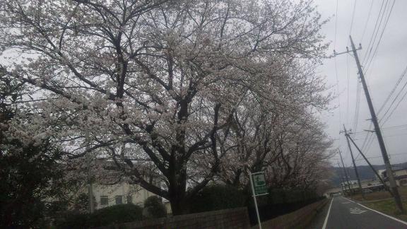 ���N���͎O���̓��I