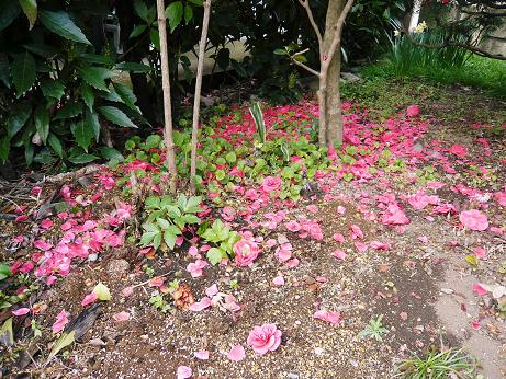 ���N���͎O���̓��I