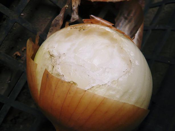 ���N���͎O���̓��I