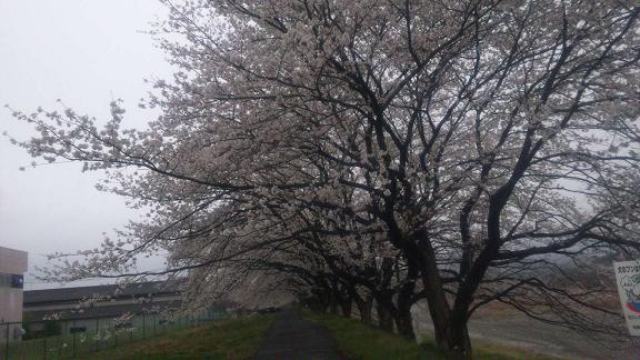 ���N���͎O���̓��I