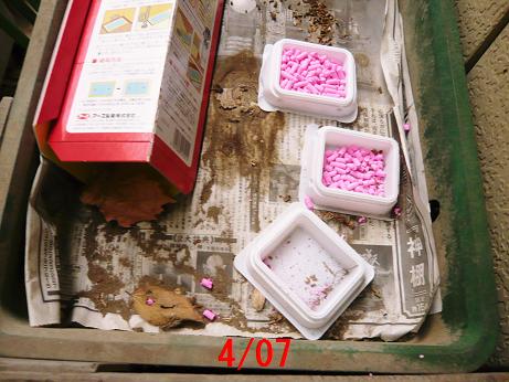 ���N���͎O���̓��I