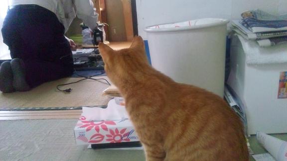 ���N���͎O���̓��I