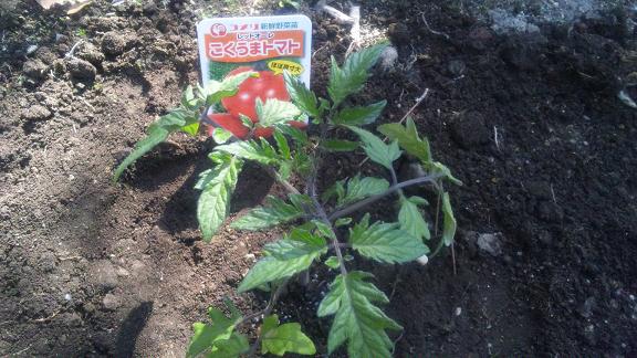 ���N���͎O���̓��I