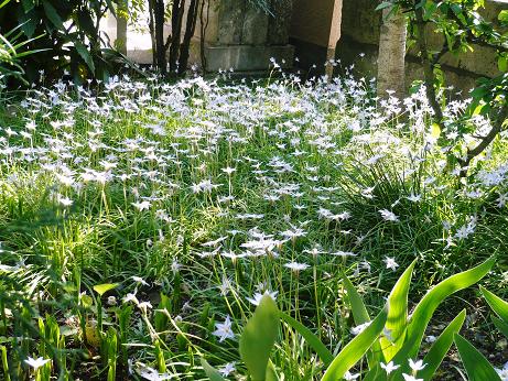 ���N���͎O���̓��I