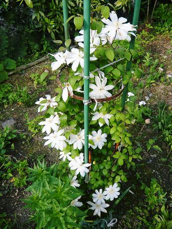 ���N���͎O���̓��I