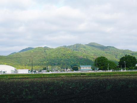 ���N���͎O���̓��I