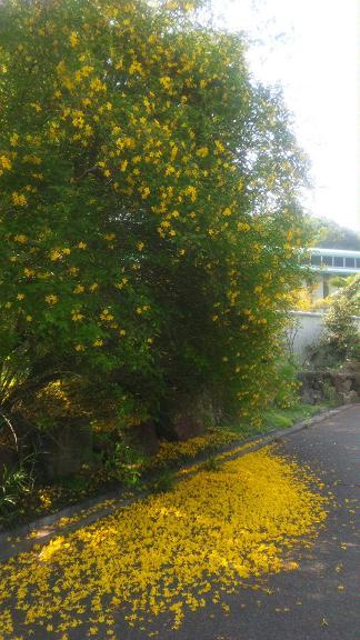 ���N���͎O���̓��I