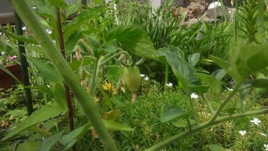 ���N���͎O���̓��I