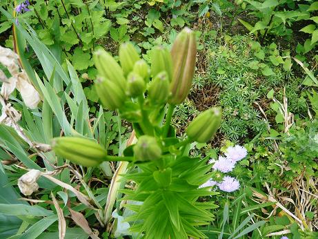 ���N���͎O���̓��I