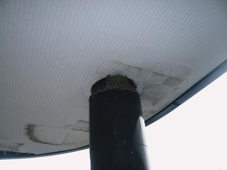 ���N���͎O���̓��I