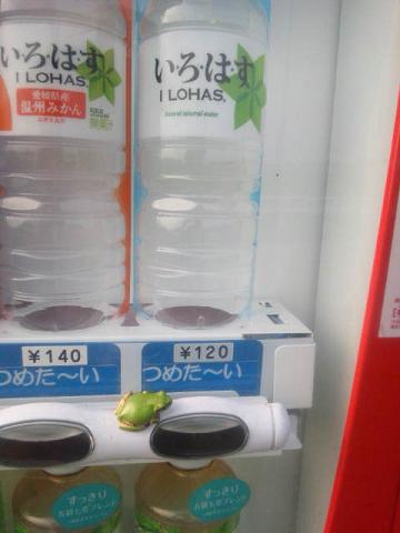 ���N���͎O���̓��I