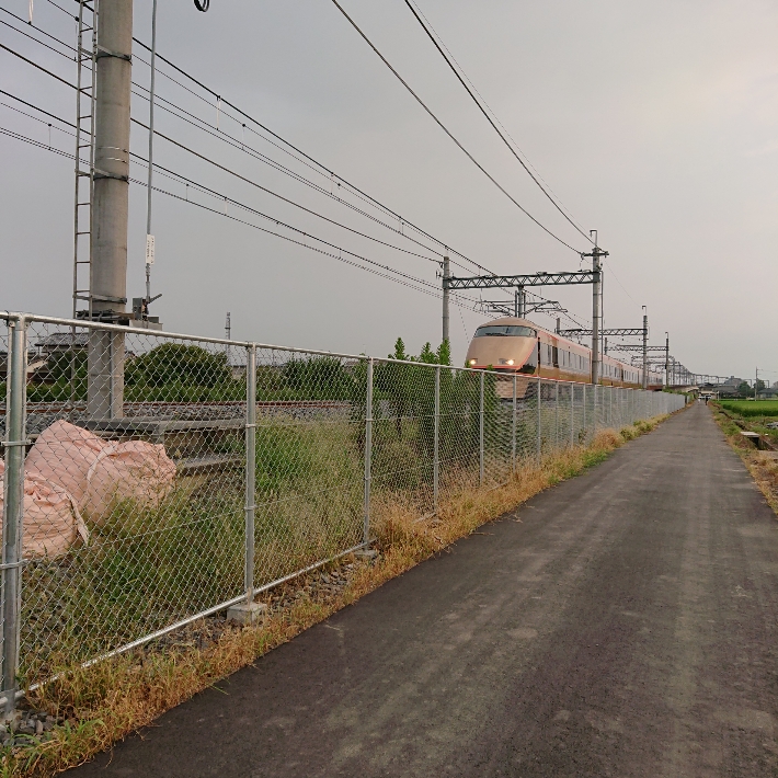 ���N���͎O���̓��I