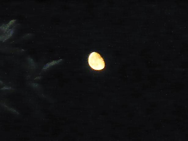 ���N���͎O���̓��I