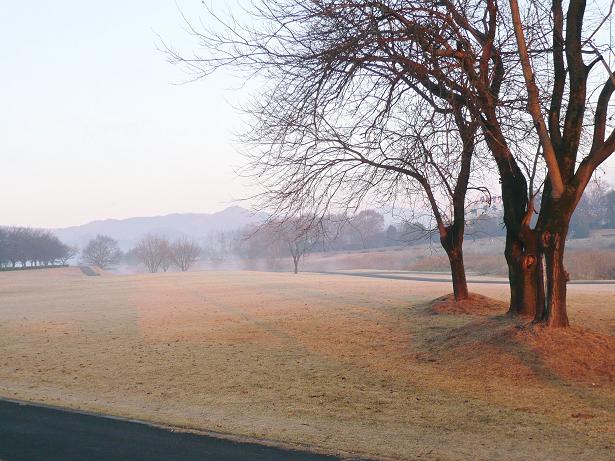 ���N���͎O���̓��I