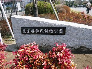 ���N���͎O���̓��I