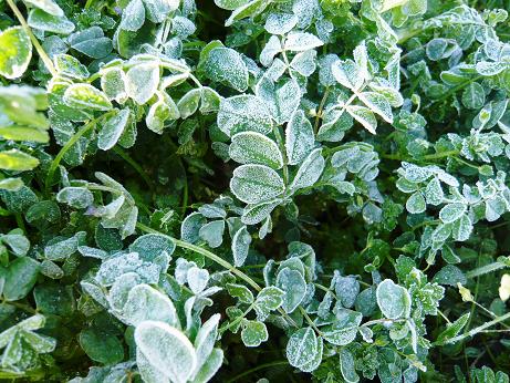 ���N���͎O���̓��I