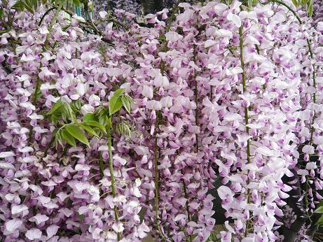 ���N���͎O���̓��I