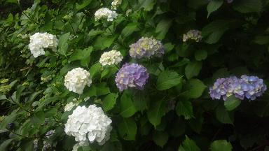 ���N���͎O���̓��I