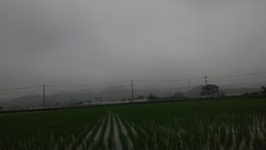 ���N���͎O���̓��I